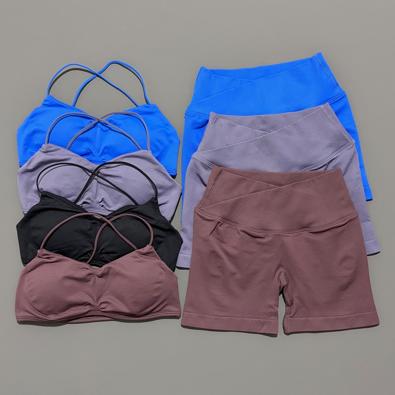 2 Piece Vision Gym Set Women Y - đánh giá và giá Bra Top Seamless